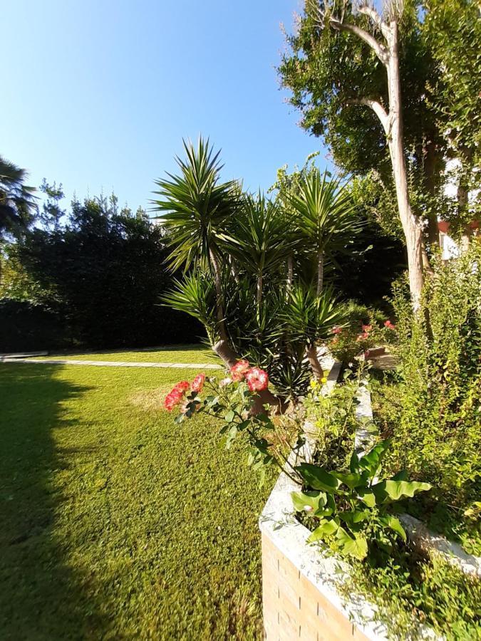 La Gran Dama Bed & Breakfast Roseto Degli Abruzzi Ngoại thất bức ảnh